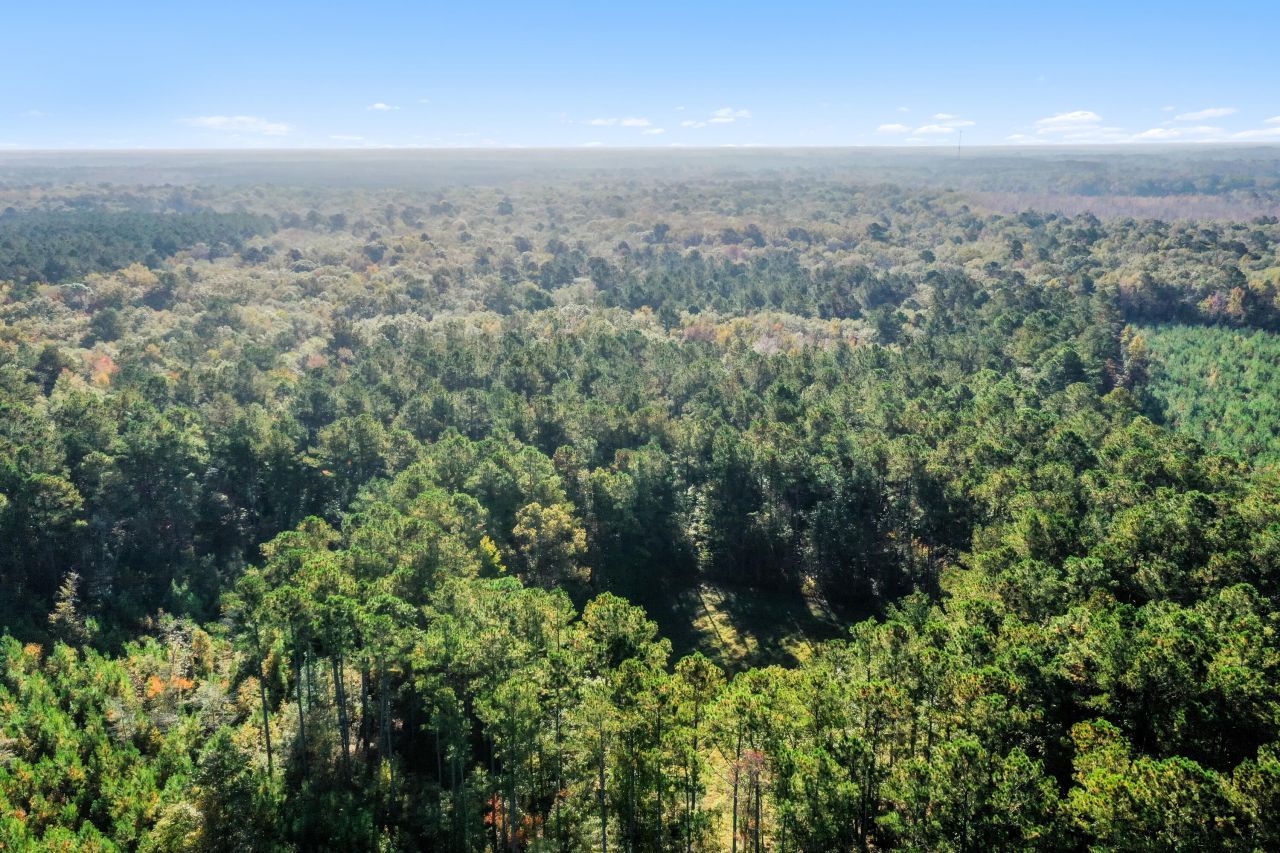 527 Acres Spring Grove Road Photo 4