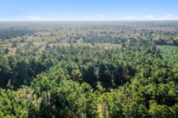 527 Acres Spring Grove Road photo 4