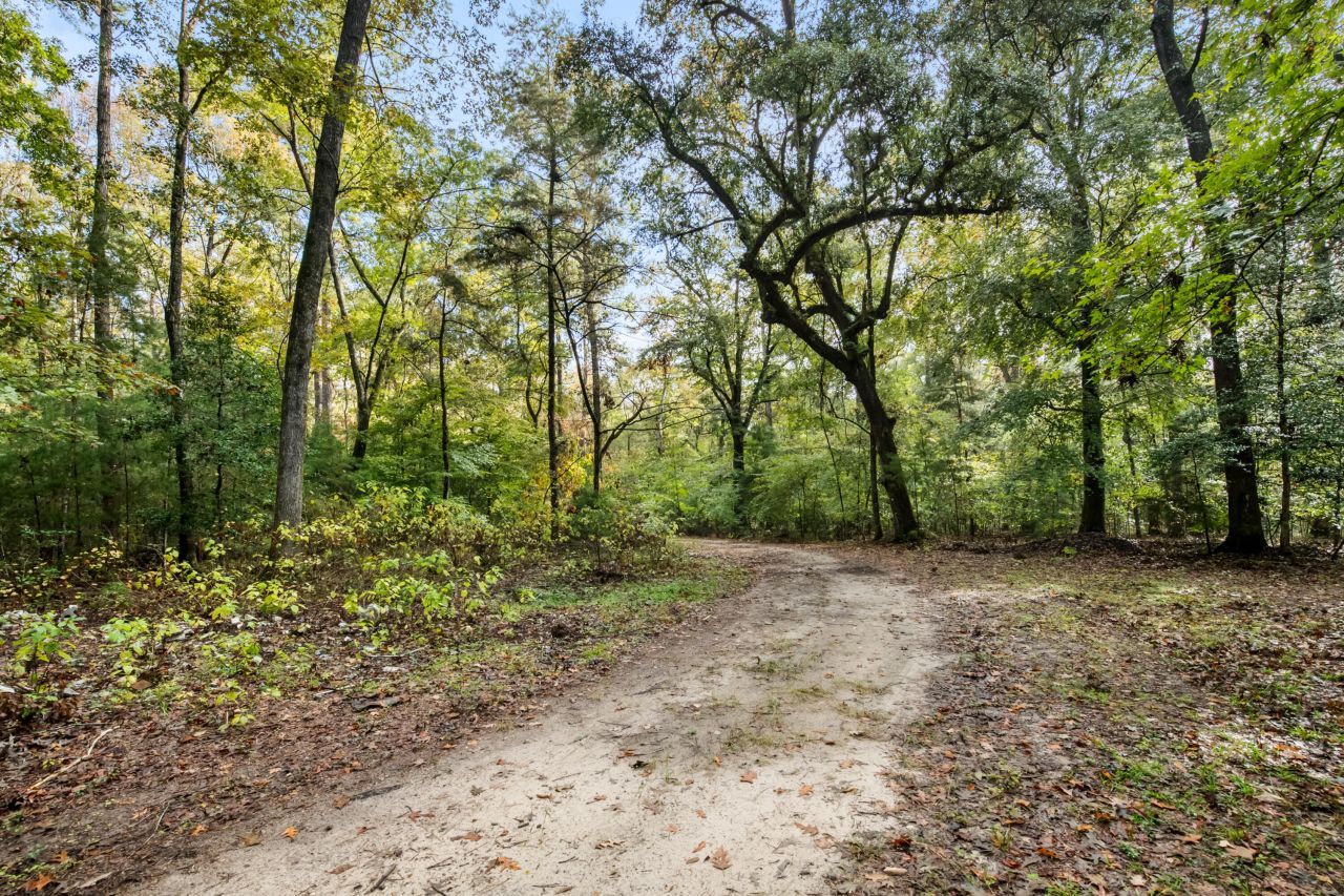 527 Acres Spring Grove Road Photo 43