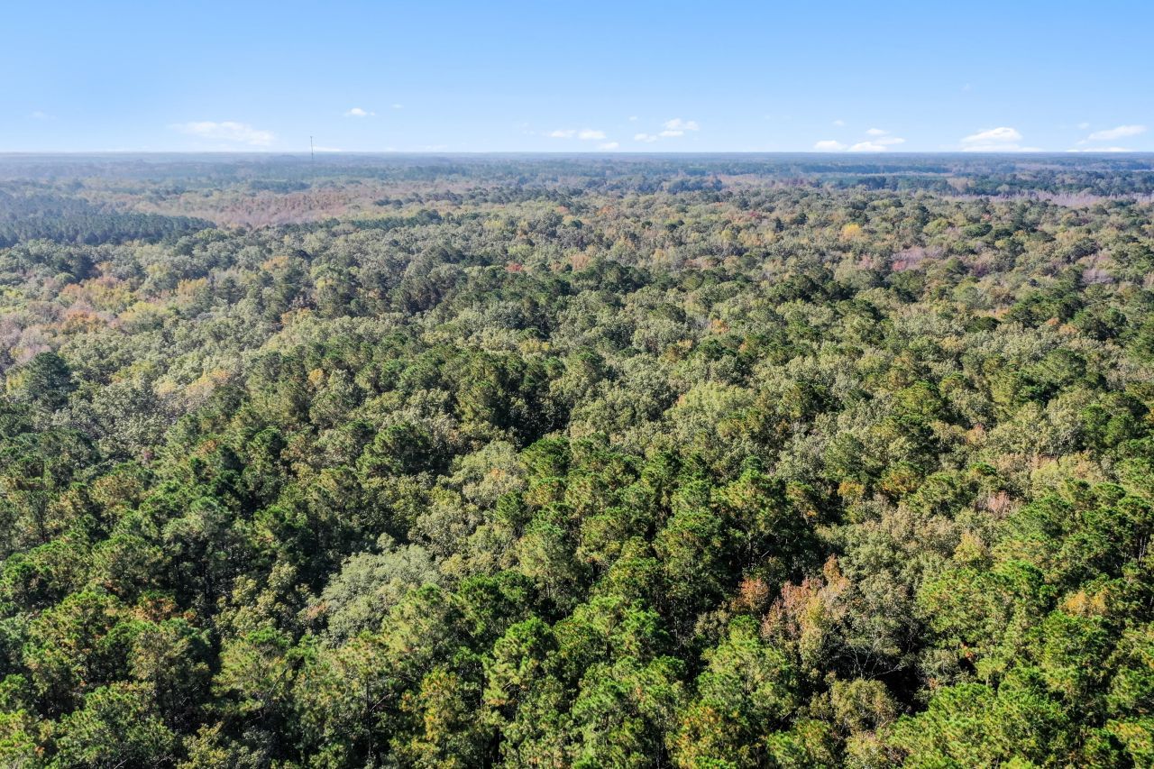 527 Acres Spring Grove Road Photo 6