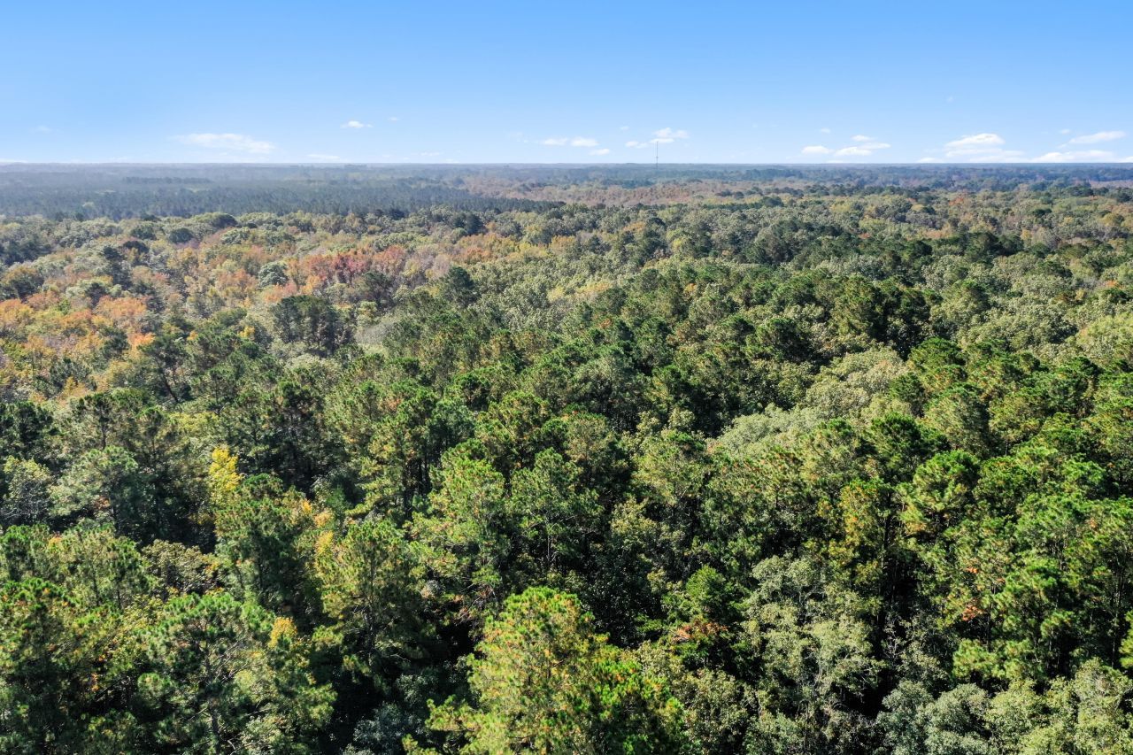 527 Acres Spring Grove Road Photo 9