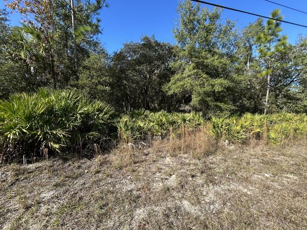 632 N Dunkenfield Avenue, Crystal River, FL 34429