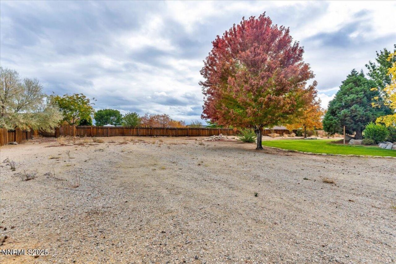 2639 Wildhorse Lane, Minden, NV 89423 Photo