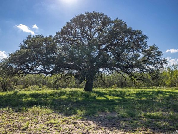 444 County Road 748, Yancey, TX 78886