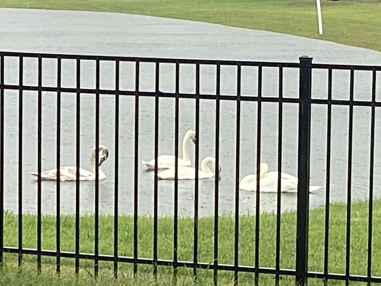 575 Affinity Dr. Photo 35