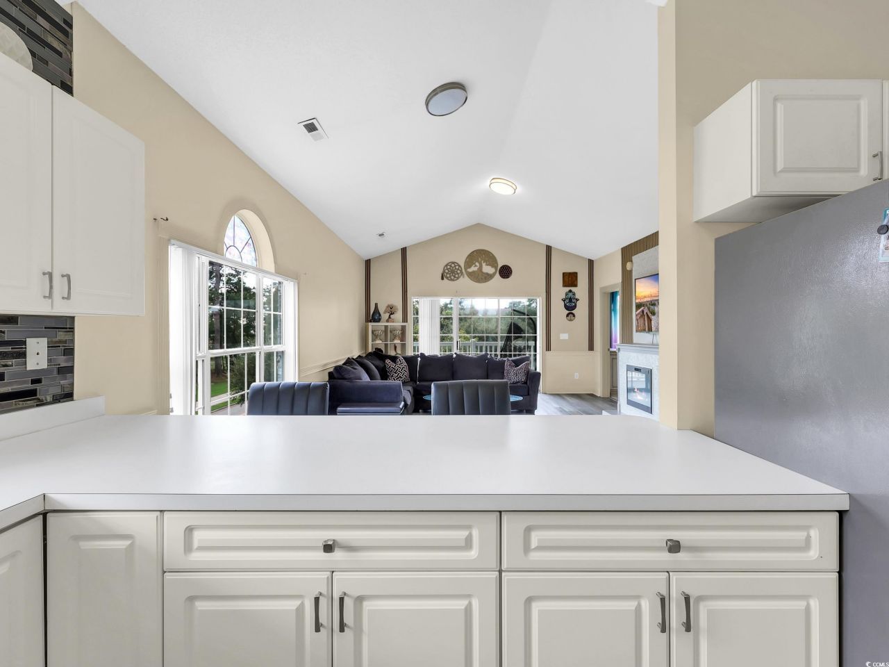4679 Wild Iris Dr. Photo 11
