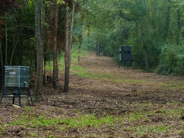 TBD C R 354, Winona, TX 75792