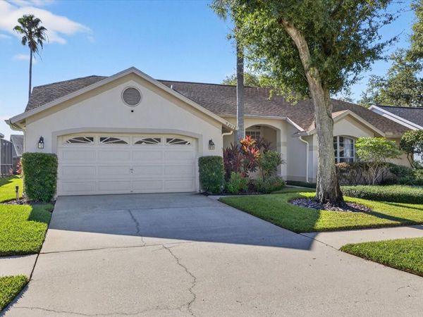 9203 SUNFLOWER DRIVE, TAMPA, FL 33647