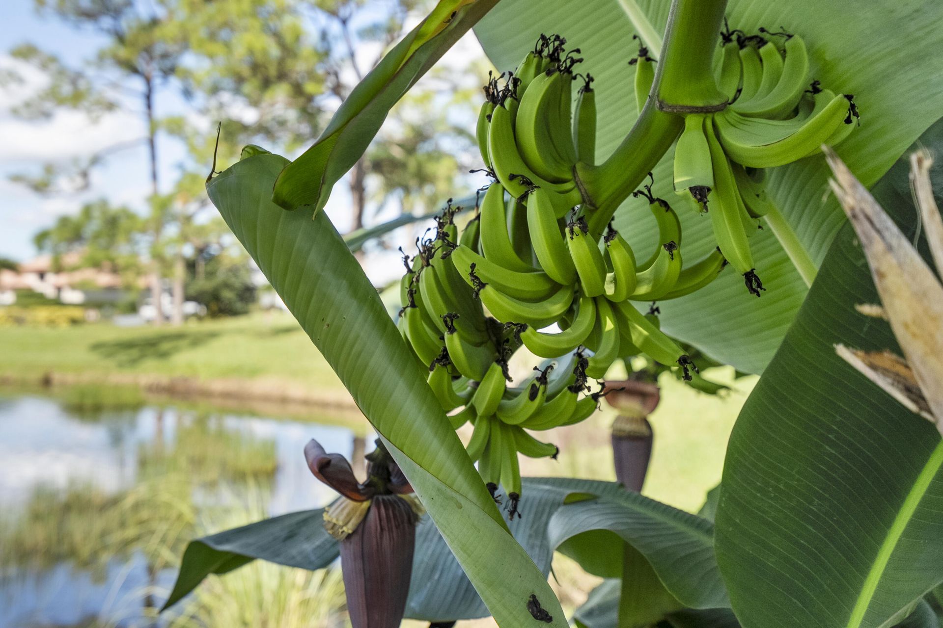 4528 SW Fenwick Lane, Palm City, FL 34990 Photo