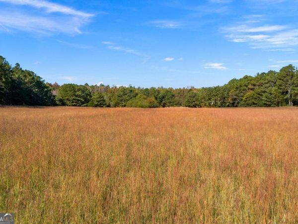 0 Satcher Road, Taylorsville, GA 30178