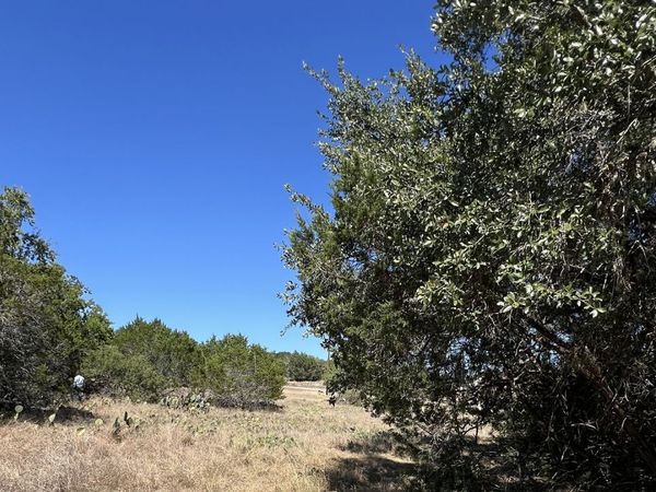 6718 Spring Branch Rd, Spring Branch, TX 78070