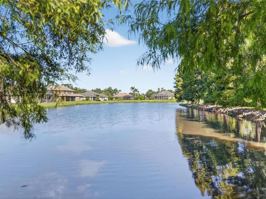Property Image 84