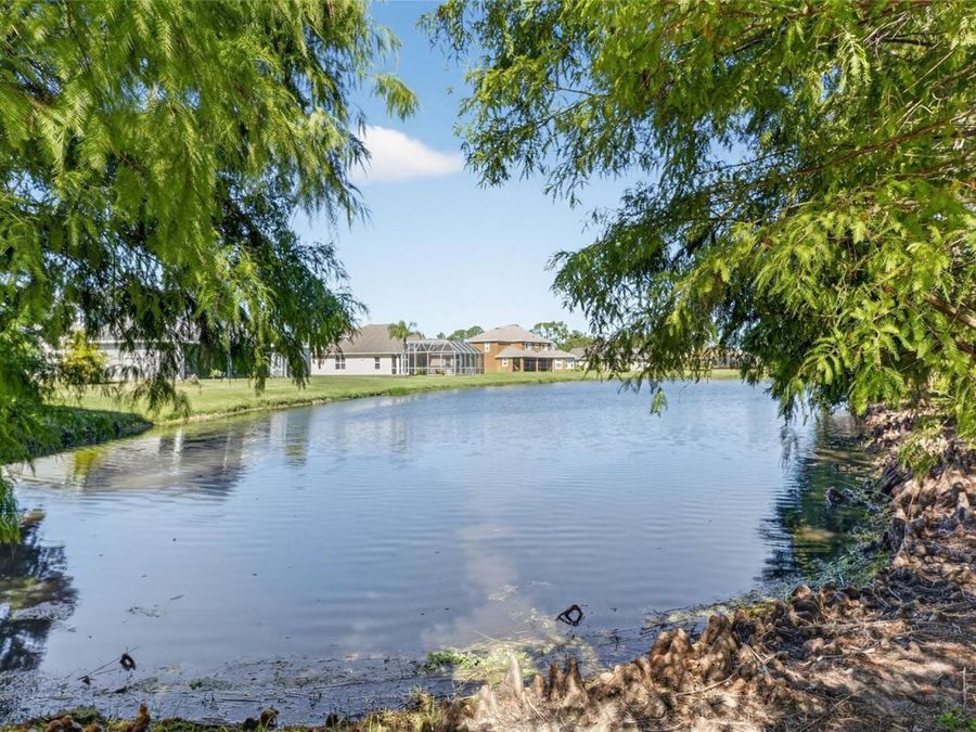 Property Image 85