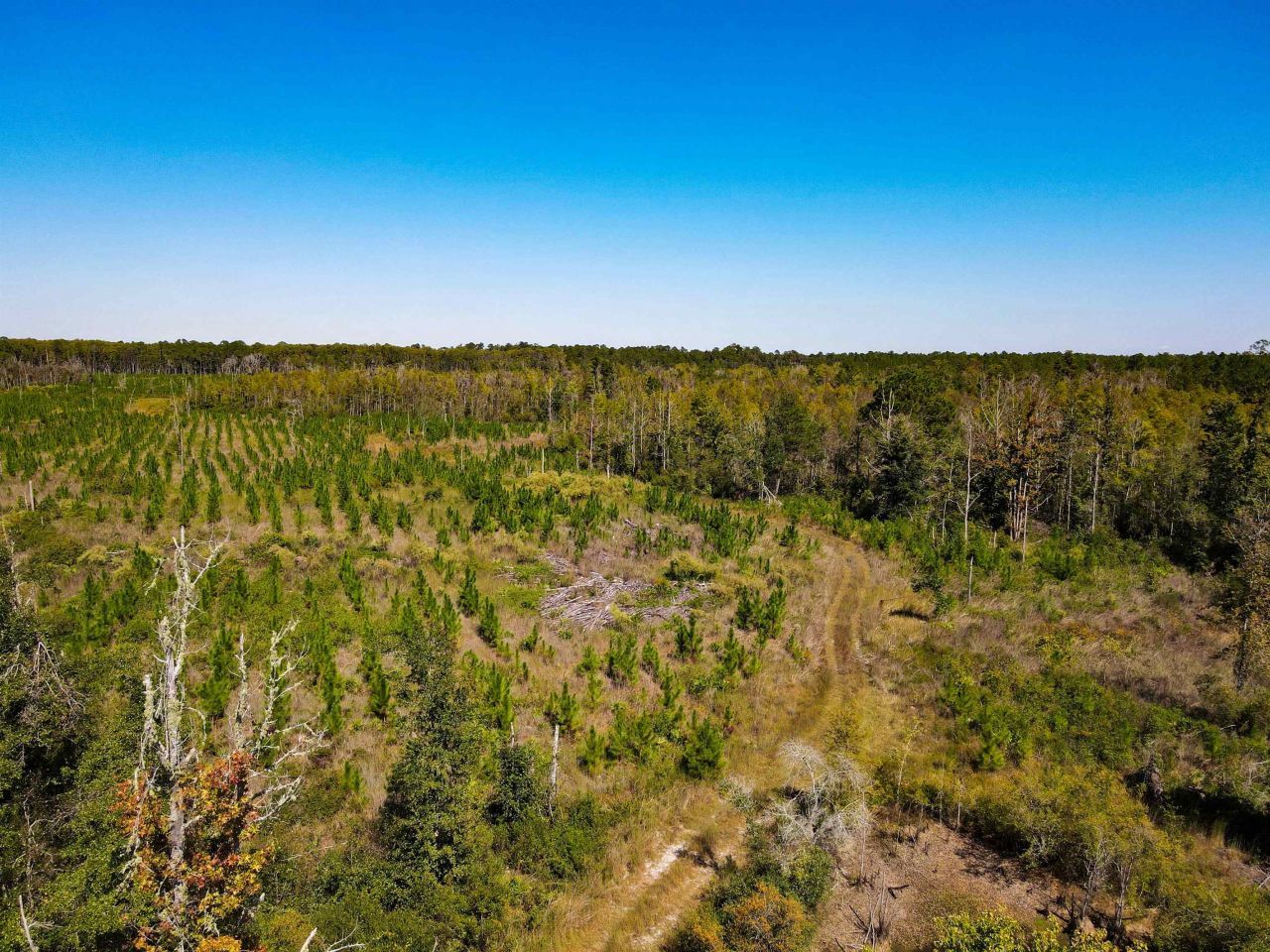 000 SW Mt.gilead Road, Lamont, FL 32331 Photo