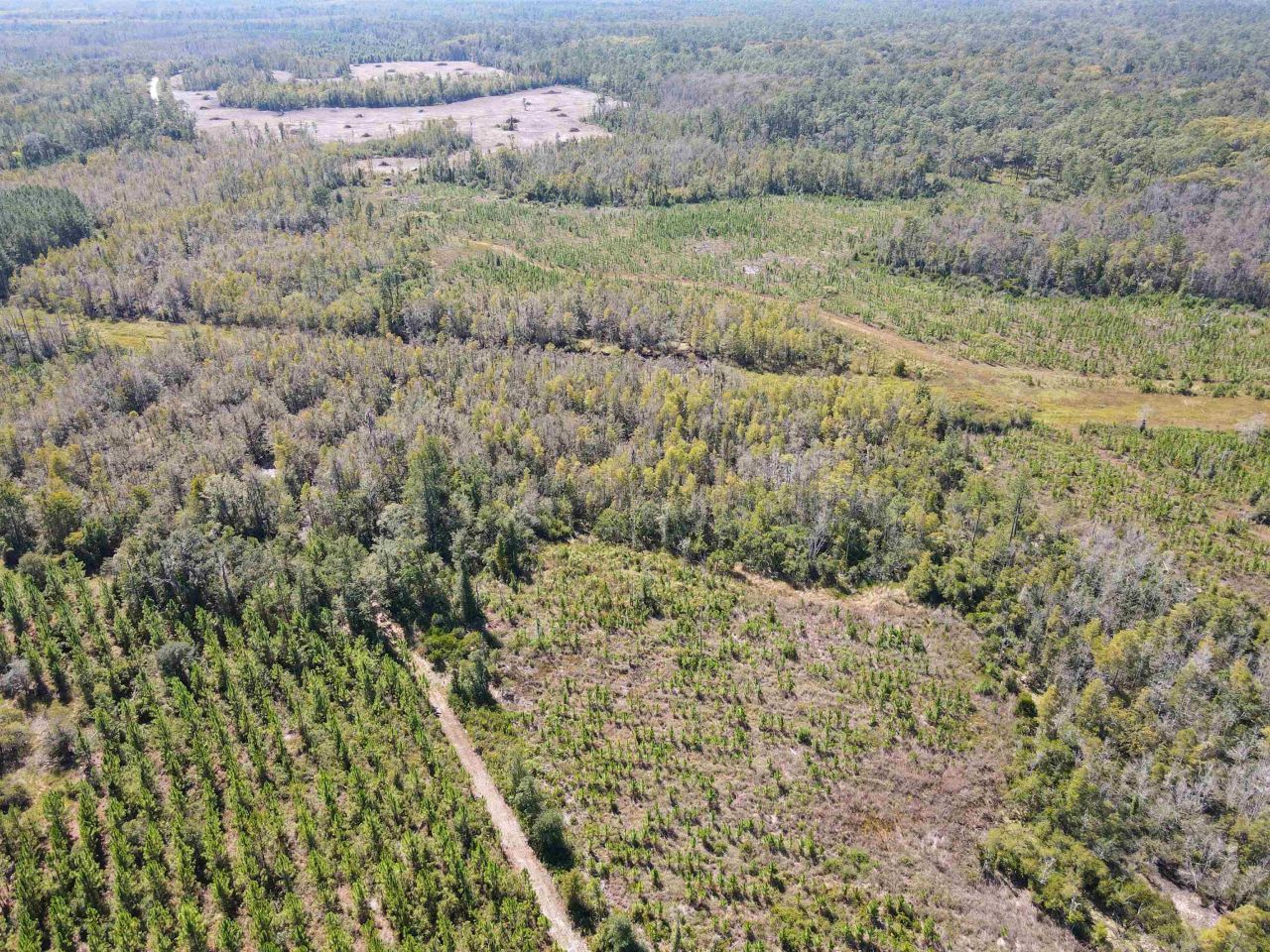 000 SW Mt.gilead Road, Lamont, FL 32331 Photo