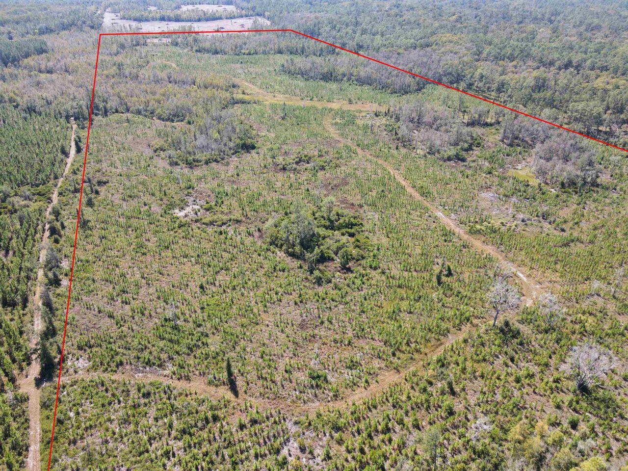 000 SW Mt.gilead Road, Lamont, FL 32331 Photo