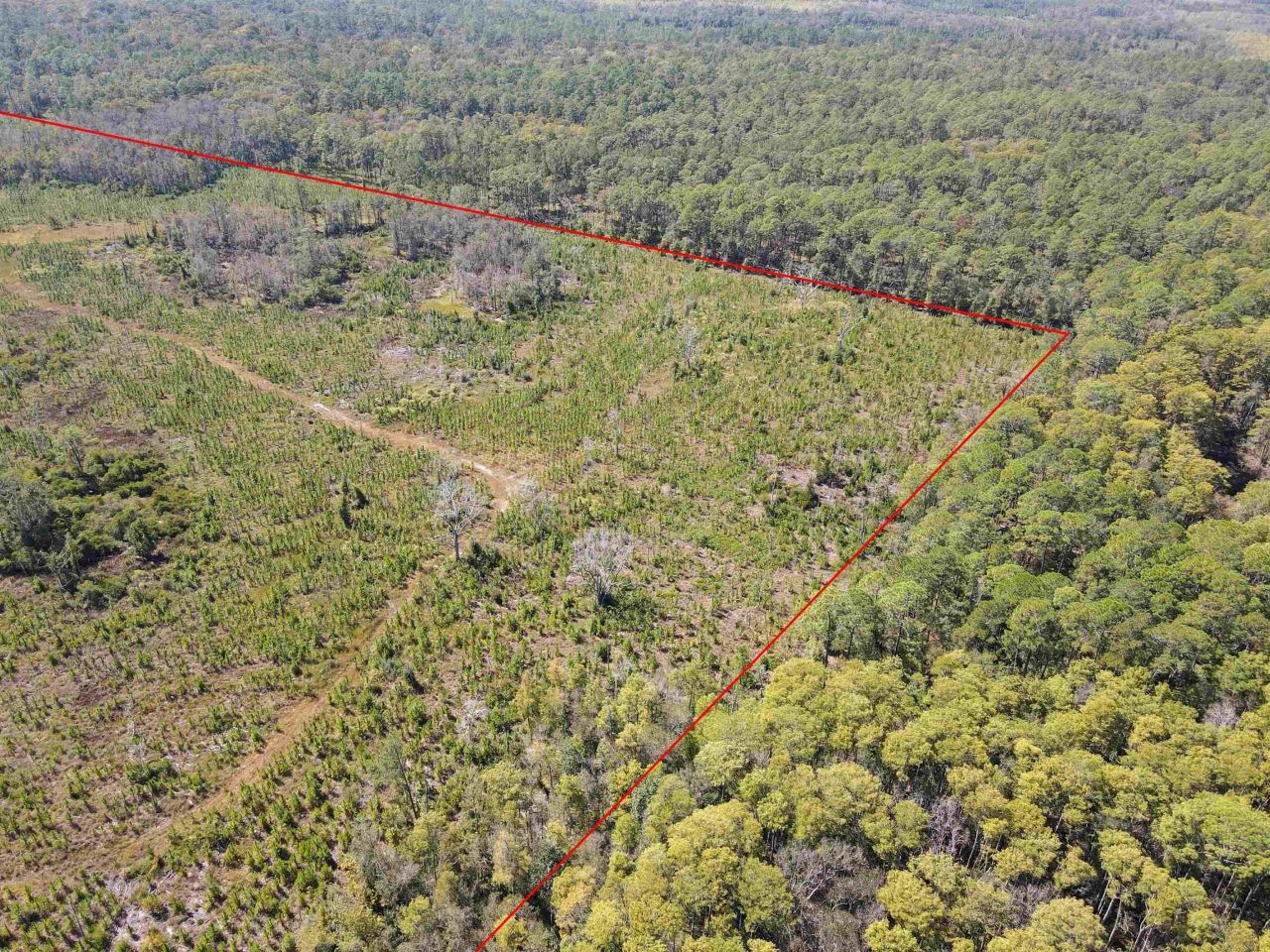 000 SW Mt.gilead Road, Lamont, FL 32331 Photo