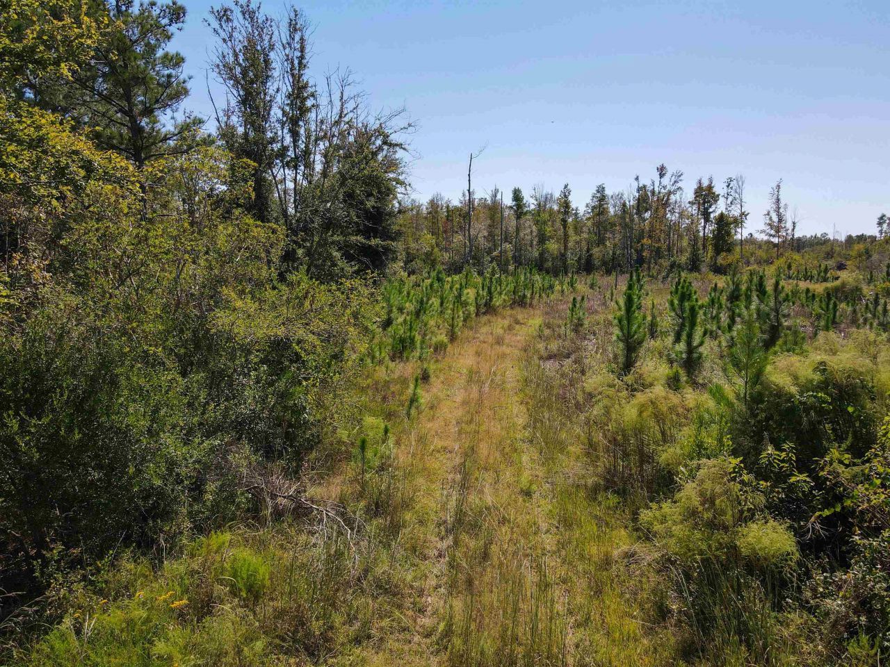 000 SW Mt.gilead Road, Lamont, FL 32331 Photo