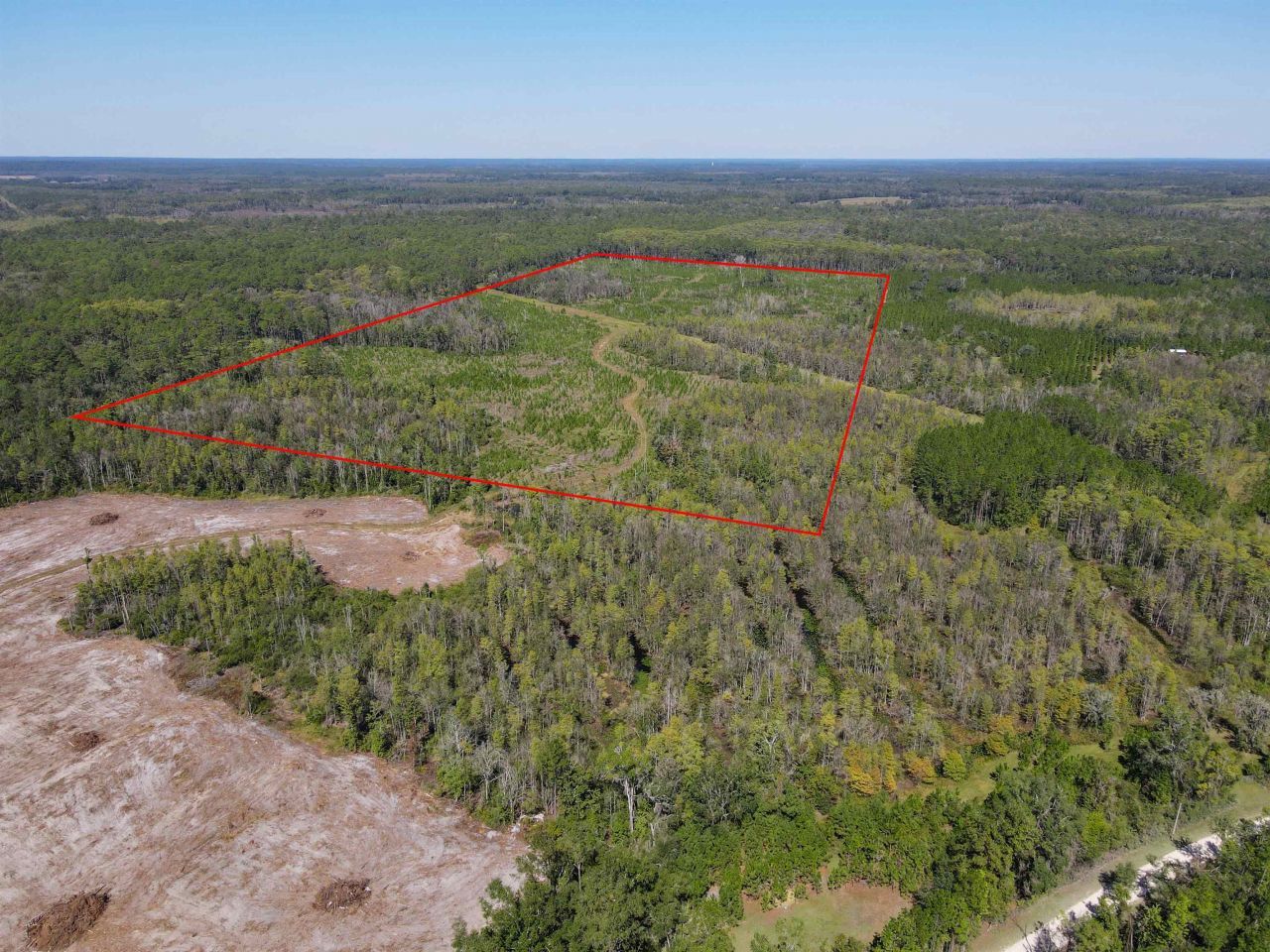 000 SW Mt.gilead Road, Lamont, FL 32331 Photo