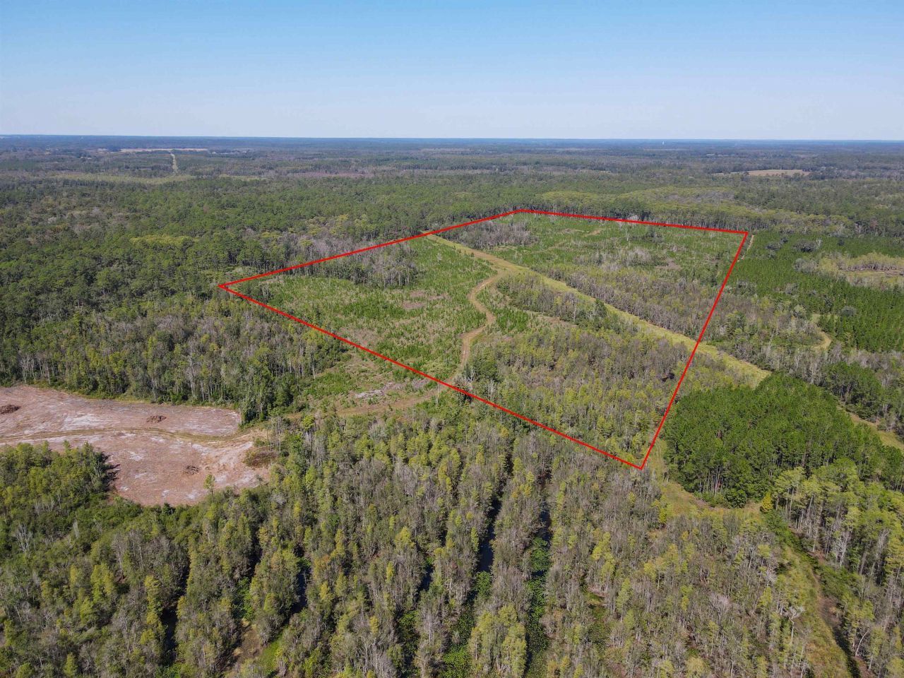 000 SW Mt.gilead Road, Lamont, FL 32331 Photo