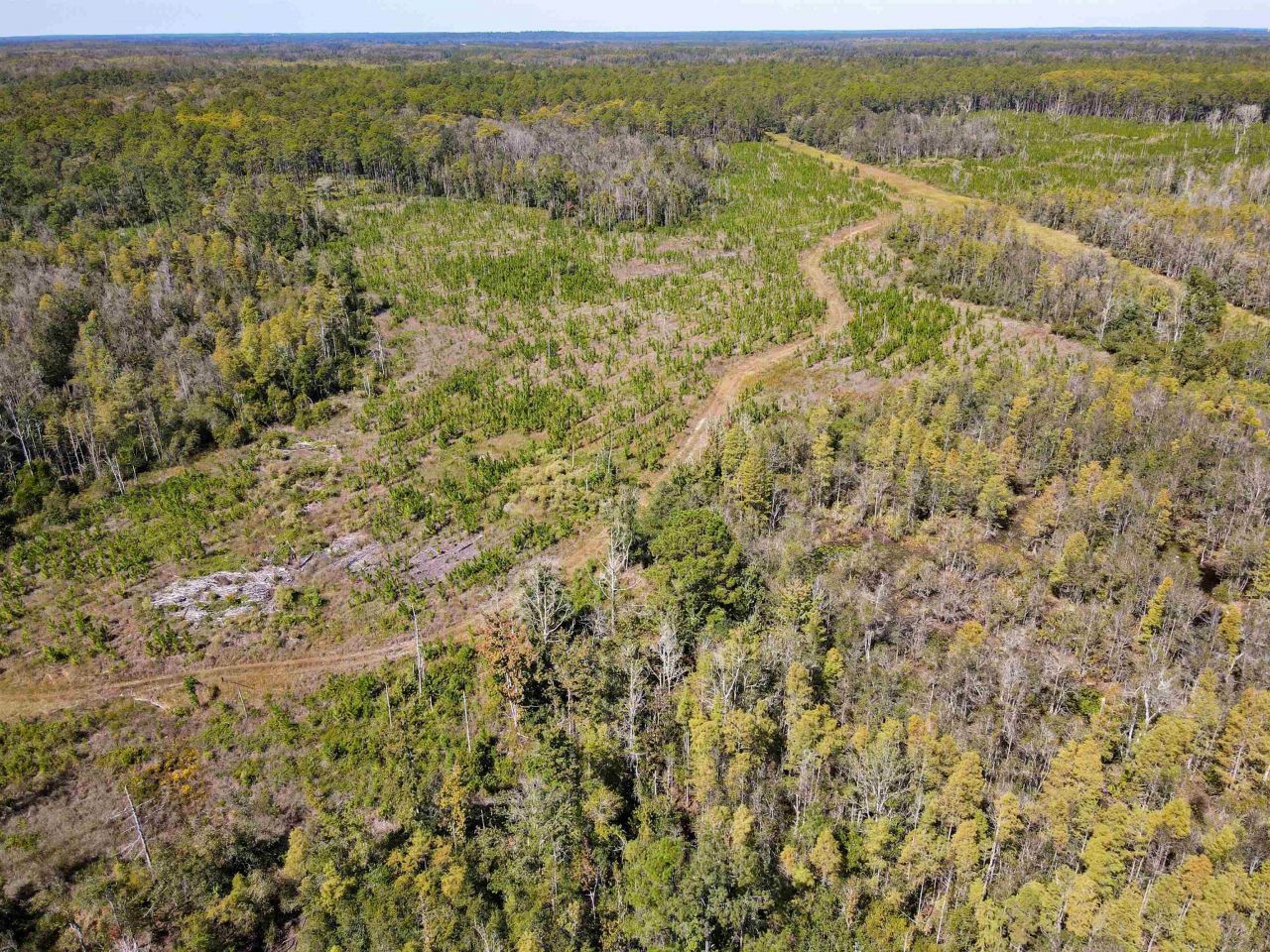 000 SW Mt.gilead Road, Lamont, FL 32331 Photo