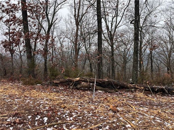 31 Skyview Lane , Holiday Island, AR 72631