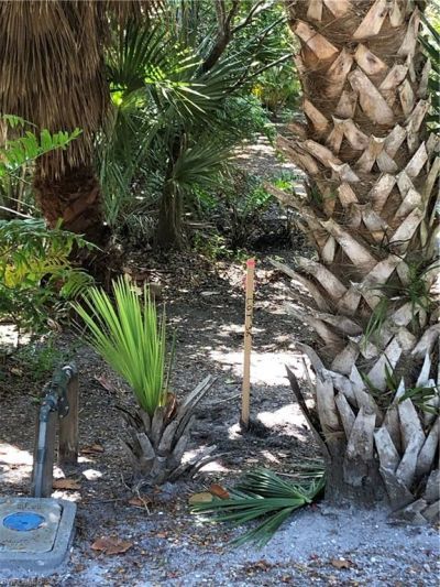 575 Sea Oats Dr, Sanibel, FL 33957 Photo