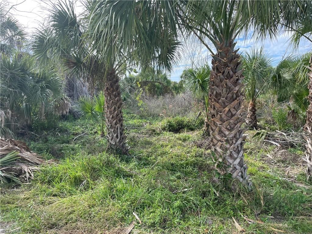 575 Sea Oats Dr, Sanibel, FL 33957 Photo