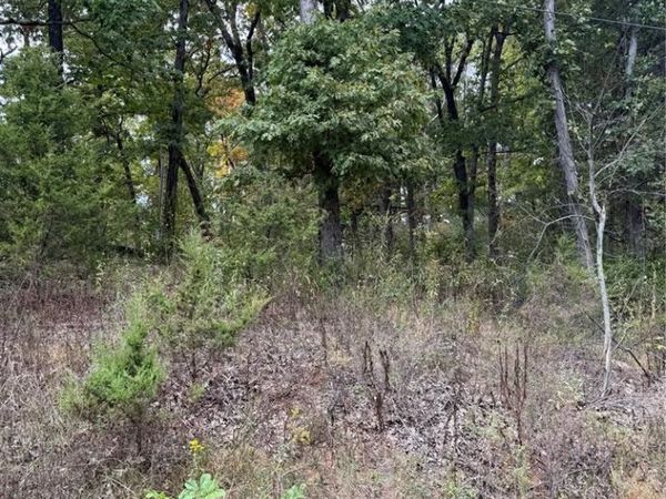 6234 osage, French Village, MO 63036