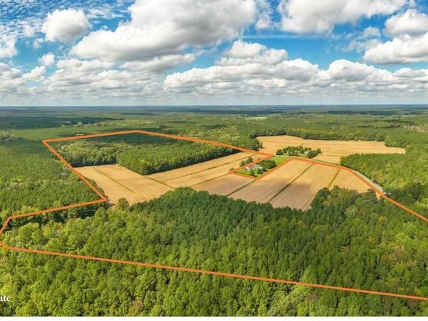 0 Bob Smith Road, Parsonsburg, MD 21849 Main Photo