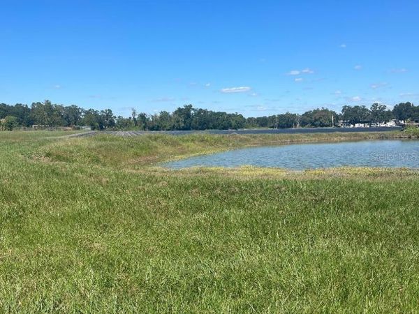 SYDNEY ROAD, DOVER, FL 33527