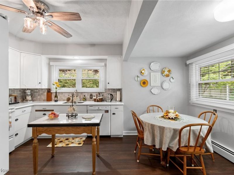 1117 Quinby Avenue, Wooster, OH 44691 Photo 19