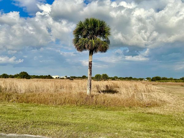 6635 SE 26th Trail, Okeechobee, FL 34974