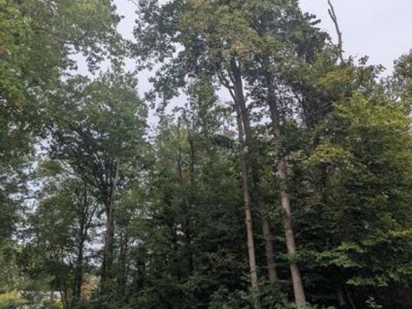 FOX TRAIL TRAIL, HAVRE DE GRACE, MD 21078