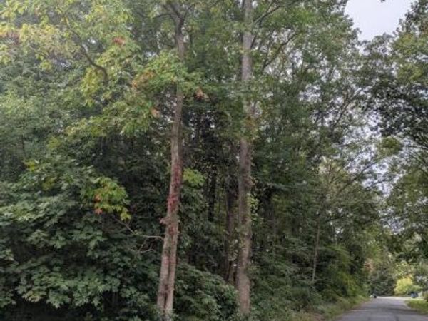 FOX TRAIL, HAVRE DE GRACE, MD 21078