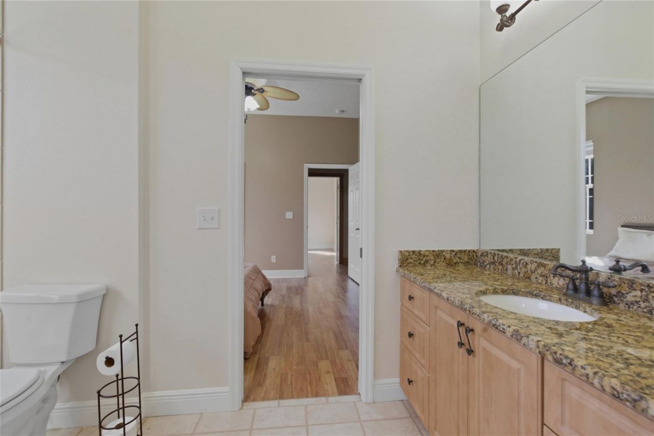 12807 Sweet Magnolias Lane, Dover, FL 33527 Photo