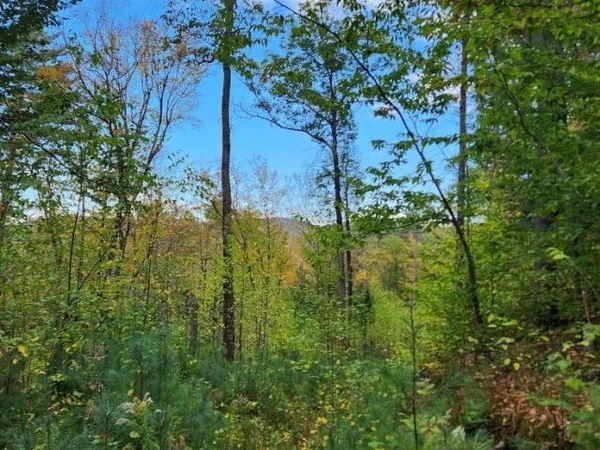 Bagley Hill Road, Unit 66, Warner, NH 03278