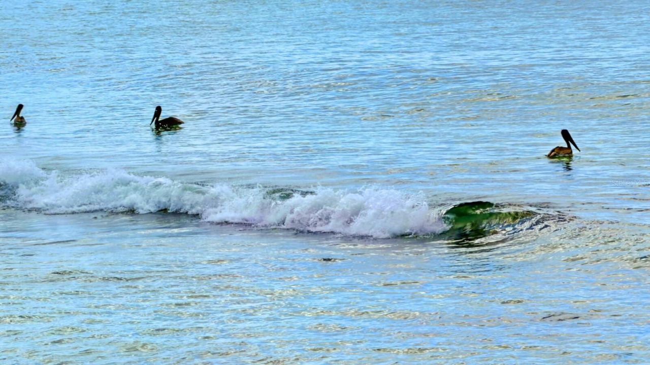 7314 Point Of Rocks Road, Sarasota, FL 34242 Photo