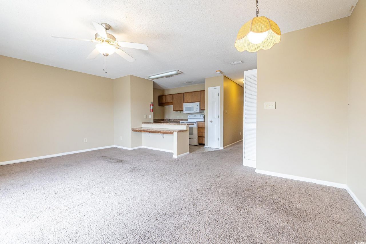 209 Double Eagle Dr. Photo 12