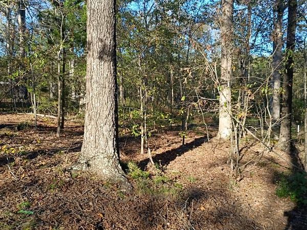 Lot 102 Hill Top Rd, Big Sandy, TN 38221