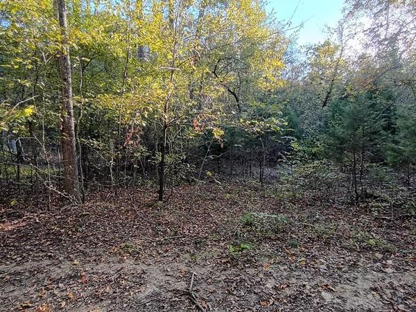 Lot 4 Deerwood Run, Big Sandy, TN 38221