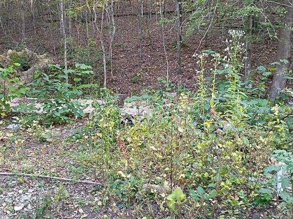 Lot 8 Deerwood Run, Big Sandy, TN 38221