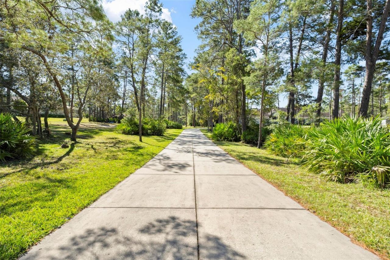 11200 Woodland Waters Boulevard, Weeki Wachee, FL 34613 Photo