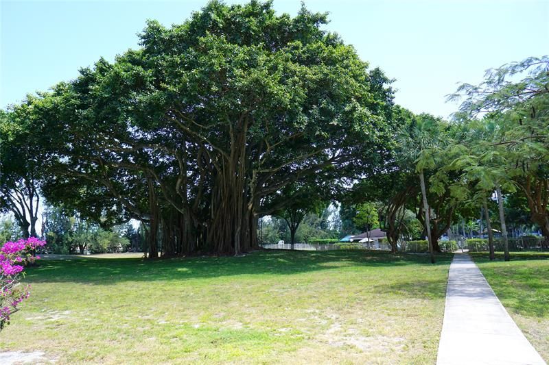 2600 S Course Drive, Unit 410, Pompano Beach, FL 33069 Photo