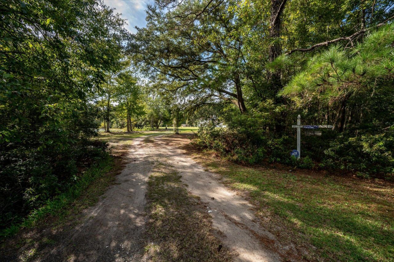 1654 Fern Hill Drive Photo 43