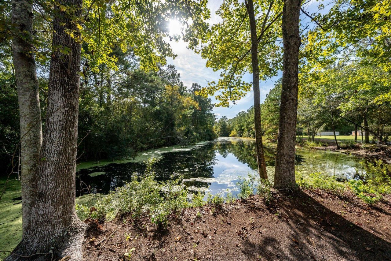 1654 Fern Hill Drive Photo 44