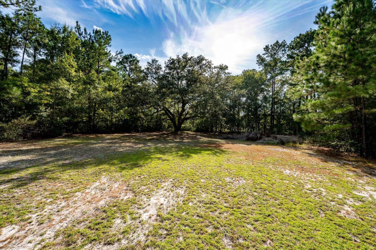 1654 Fern Hill Drive Photo 55