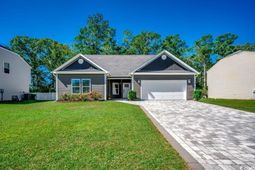 424 Cotton Grass Dr. photo 4