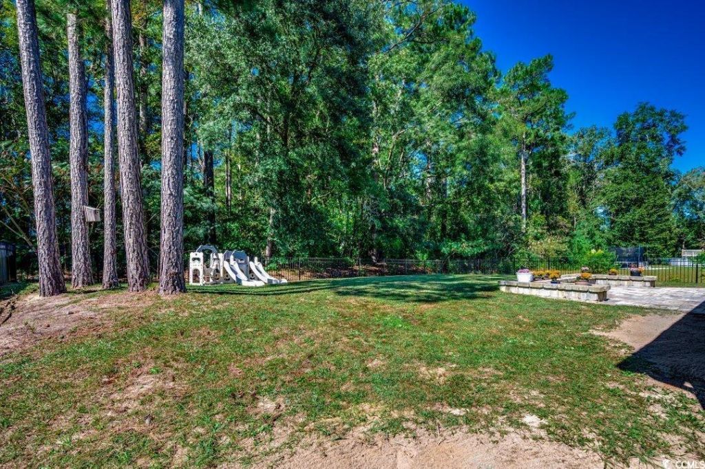424 Cotton Grass Dr. Photo 30