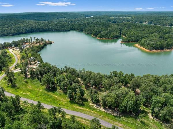 LOT 9 SLICK FORD (CR 61), Houston, AL 35572